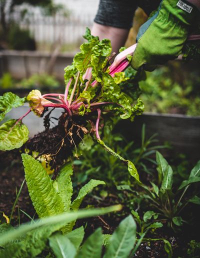 jonathan-kemper-1HHrdIoLFpU-unsplash